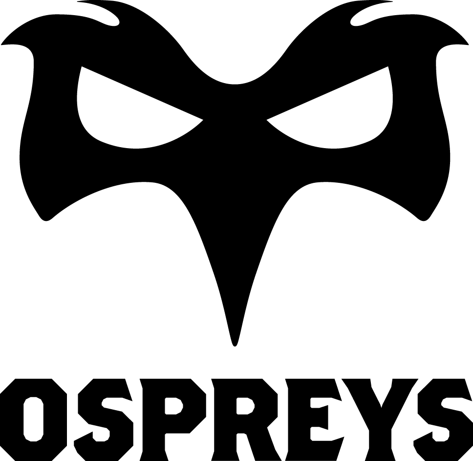 Ospreys 2009-Pres Primary Logo iron on transfers for clothing